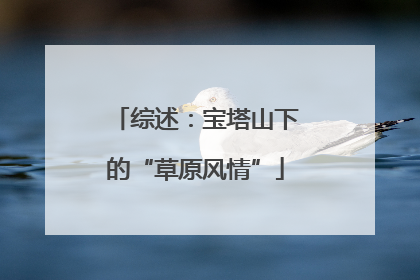 综述：宝塔山下的“草原风情”
