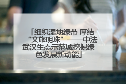 细织湿地绿带 厚结“文旅明珠”——中法武汉生态示范城挖掘绿色发展新动能