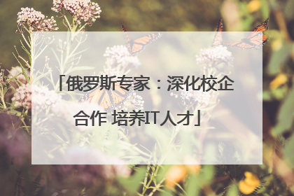 俄罗斯专家：深化校企合作 培养IT人才
