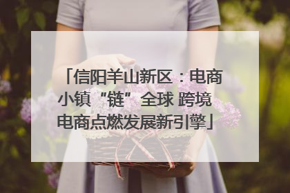 信阳羊山新区：电商小镇“链”全球 跨境电商点燃发展新引擎