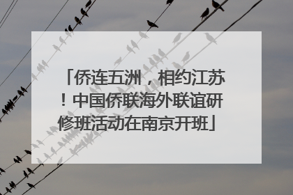 侨连五洲，相约江苏！中国侨联海外联谊研修班活动在南京开班