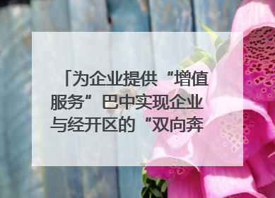 为企业提供“增值服务”巴中实现企业与经开区的“双向奔赴”｜川陕渝网络名人巴中行