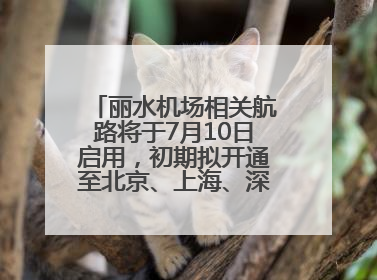 丽水机场相关航路将于7月10日启用，初期拟开通至北京、上海、深圳、贵阳航线