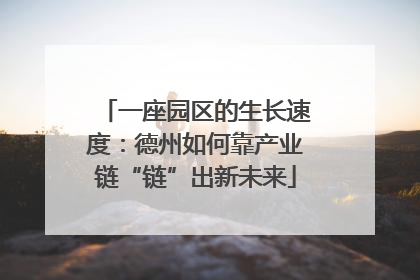 一座园区的生长速度：德州如何靠产业链“链”出新未来