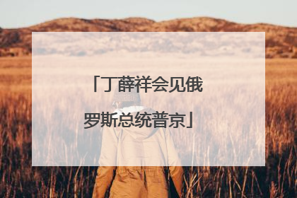 丁薛祥会见俄罗斯总统普京