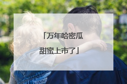 万年哈密瓜甜蜜上市了