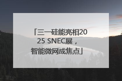 三一硅能亮相2025 SNEC展，智能微网成焦点