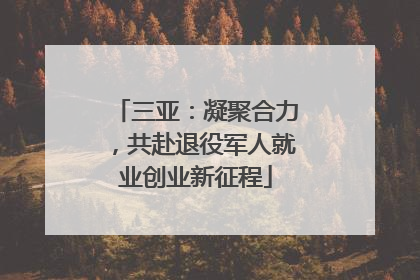 三亚：凝聚合力，共赴退役军人就业创业新征程