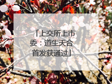 上交所上市委：道生天合首发获通过