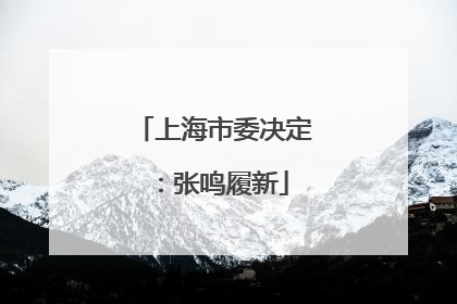 上海市委决定：张鸣履新