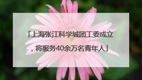 上海张江科学城团工委成立，将服务40余万名青年人