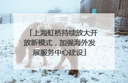 上海虹桥持续放大开放新模式，加强海外发展服务中心建设