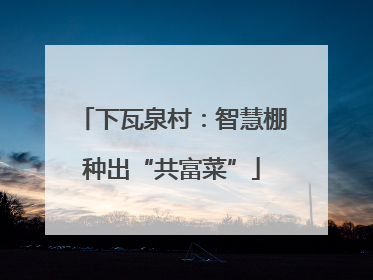 下瓦泉村：智慧棚种出“共富菜”