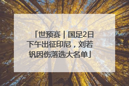 世预赛｜国足2日下午出征印尼，刘若钒因伤落选大名单