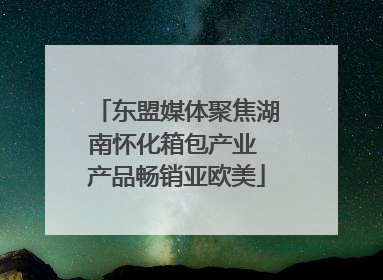 东盟媒体聚焦湖南怀化箱包产业 产品畅销亚欧美