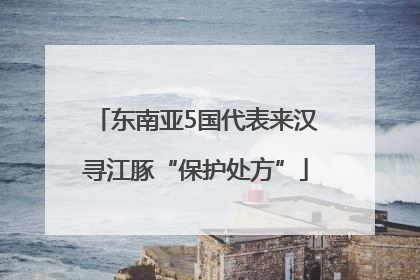 东南亚5国代表来汉寻江豚“保护处方”