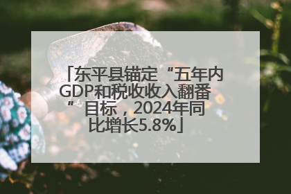 东平县锚定“五年内GDP和税收收入翻番”目标，2024年同比增长5.8%