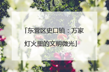 东营区史口镇：万家灯火里的文明微光