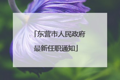 东营市人民政府最新任职通知