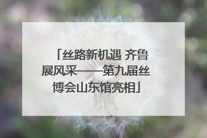 丝路新机遇 齐鲁展风采——第九届丝博会山东馆亮相