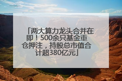 两大算力龙头合并在即！500余只基金重仓押注，持股总市值合计超380亿元