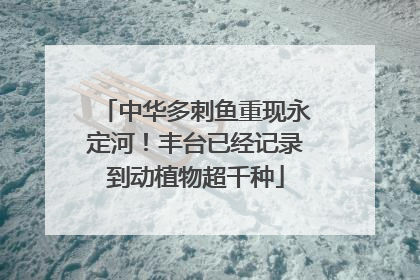 中华多刺鱼重现永定河！丰台已经记录到动植物超千种