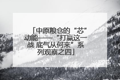 中原粮仓的“芯”动能——“打赢这一战 底气从何来”系列观察之四