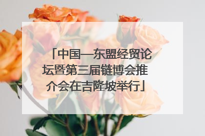 中国—东盟经贸论坛暨第三届链博会推介会在吉隆坡举行
