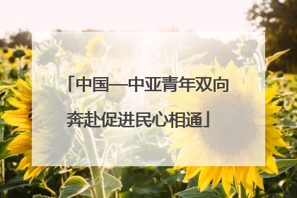 中国—中亚青年双向奔赴促进民心相通