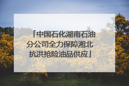 中国石化湖南石油分公司全力保障湘北抗洪抢险油品供应