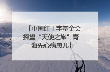 中国红十字基金会探望“天使之旅”青海先心病患儿