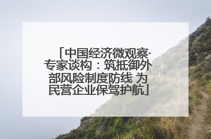 中国经济微观察·专家谈构：筑抵御外部风险制度防线 为民营企业保驾护航
