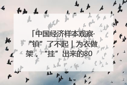中国经济样本观察·“镇”了不起｜为衣做架，“挂”出来的80亿元“衣架产业”