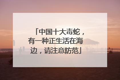 中国十大毒蛇，有一种正生活在海边，请注意防范