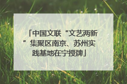 中国文联“文艺两新”集聚区南京、苏州实践基地在宁授牌