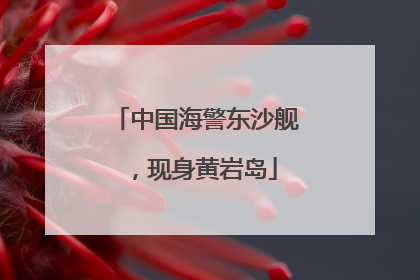 中国海警东沙舰，现身黄岩岛