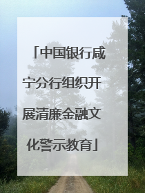 中国银行咸宁分行组织开展清廉金融文化警示教育