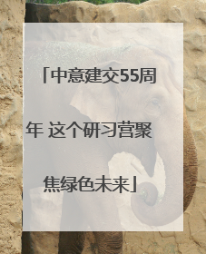 中意建交55周年 这个研习营聚焦绿色未来