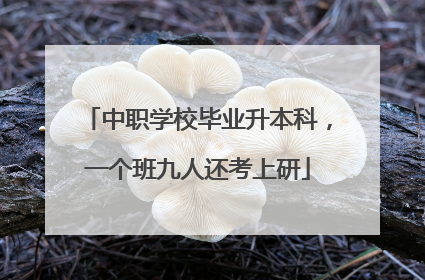 中职学校毕业升本科，一个班九人还考上研