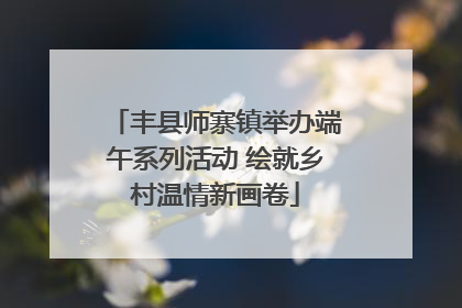 丰县师寨镇举办端午系列活动 绘就乡村温情新画卷