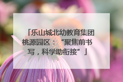 乐山城北幼教育集团桃源园区：“聚焦前书写，科学助衔接”