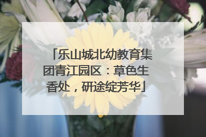 乐山城北幼教育集团青江园区：草色生香处，研途绽芳华