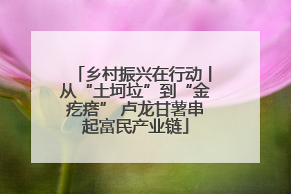 乡村振兴在行动丨从“土坷垃”到“金疙瘩” 卢龙甘薯串起富民产业链