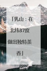 乳山：在北纬37度做出独特茶香