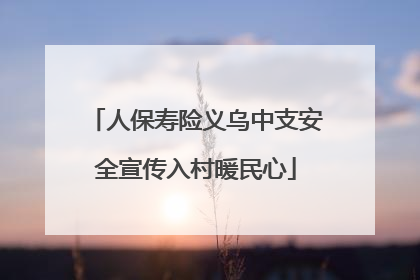 人保寿险义乌中支安全宣传入村暖民心