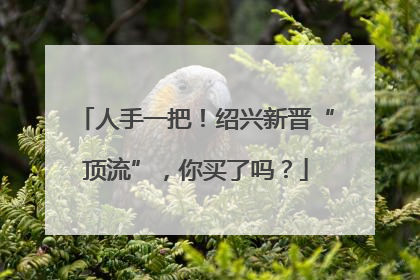 人手一把！绍兴新晋“顶流”，你买了吗？