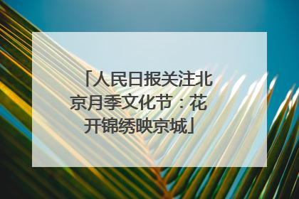 人民日报关注北京月季文化节：花开锦绣映京城