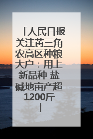 人民日报关注黄三角农高区种粮大户：用上新品种 盐碱地亩产超1200斤