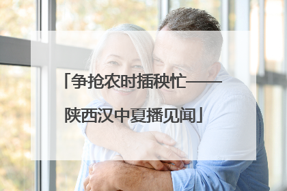 争抢农时插秧忙——陕西汉中夏播见闻