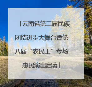云南省第二届民族团结进步大舞台暨第八届“农民工”专场惠民演出启幕